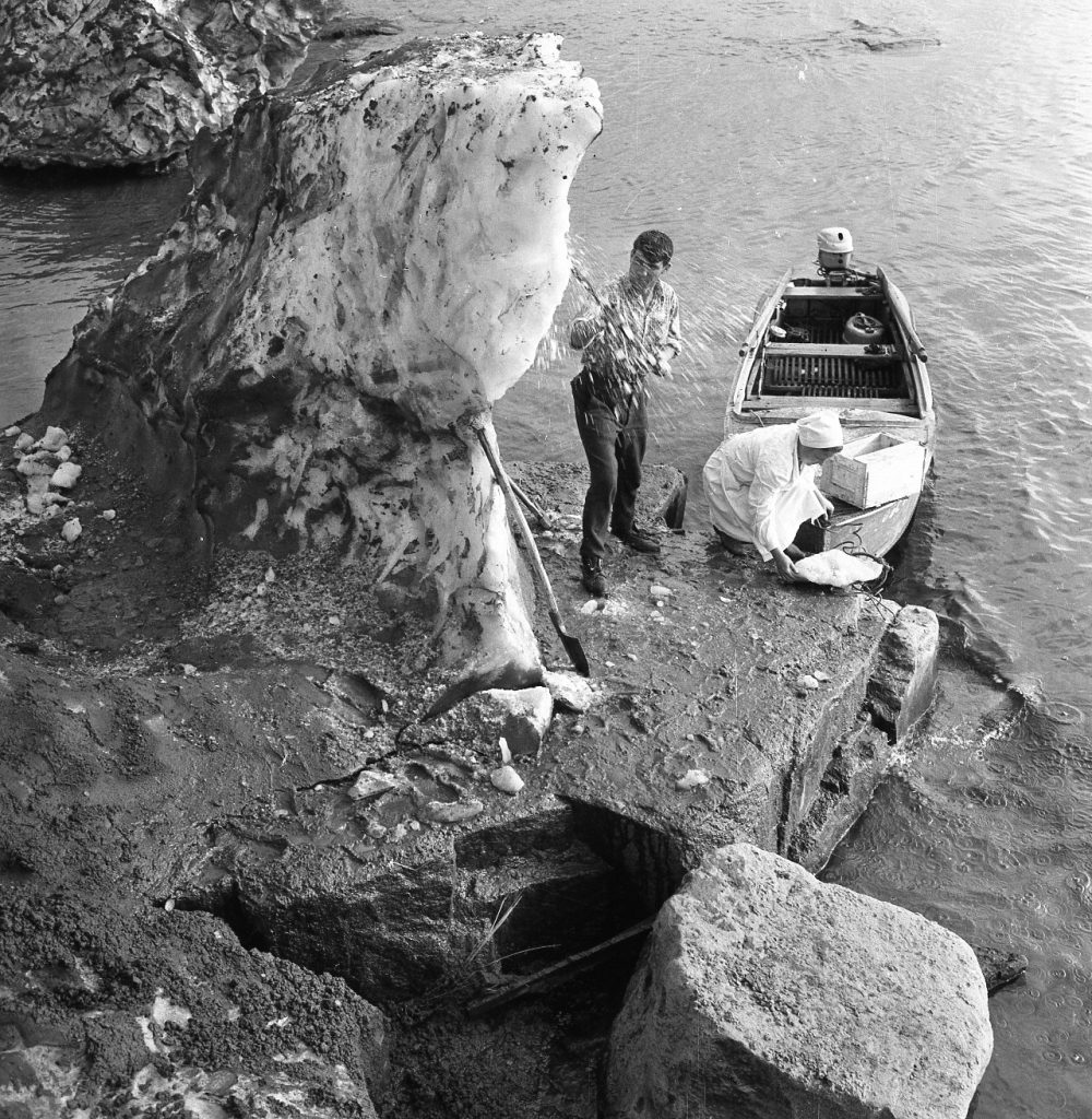 На Ангаре. Весна, 1955 г.