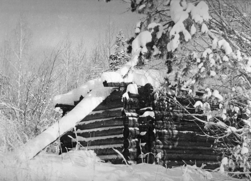 Зимовье, 1969 г. «Зелёные горизонты»